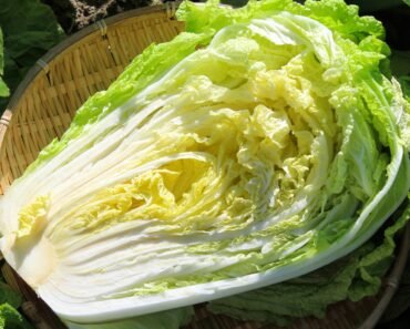 How to Cook Napa Cabbage in Home