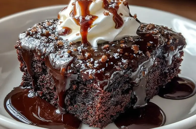 Decadent Hot Fudge Chocolate Pudding Cake served on a plate